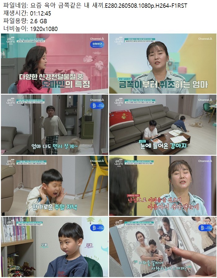 요즘 육아 금쪽같은 내 새끼.E280.260508.1080p.H264