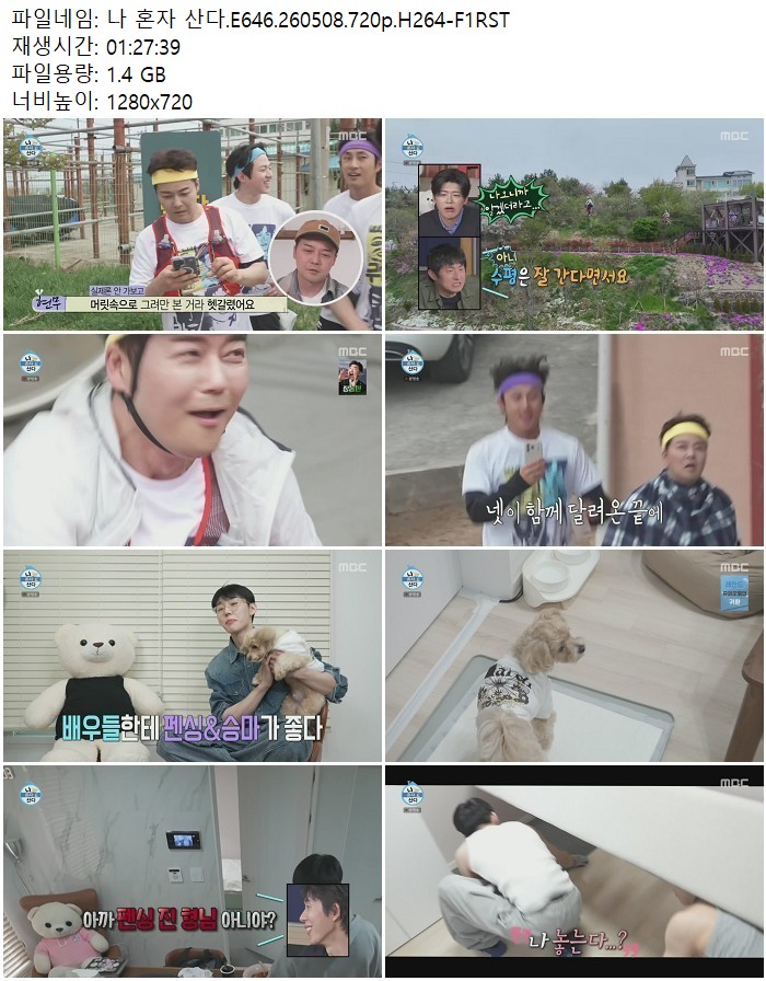 나 혼자 산다.E646.260508.720p.H264