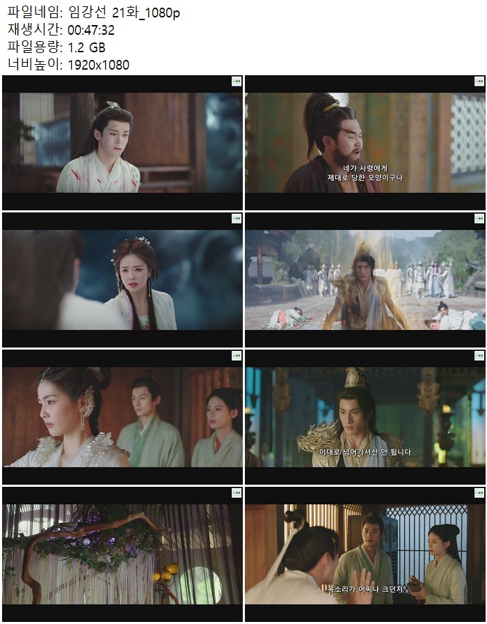 임강선 21화_1080p