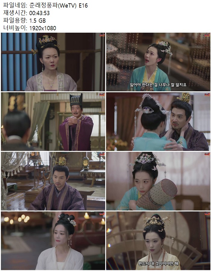 춘래정풍파(WeTV) E16