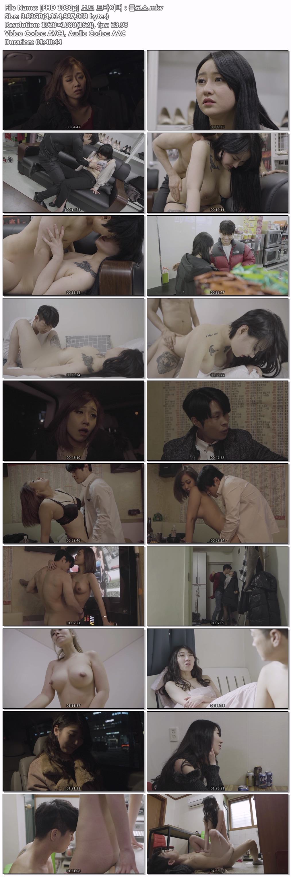 [FHD 1080p] 보도 드라이버 풀코스