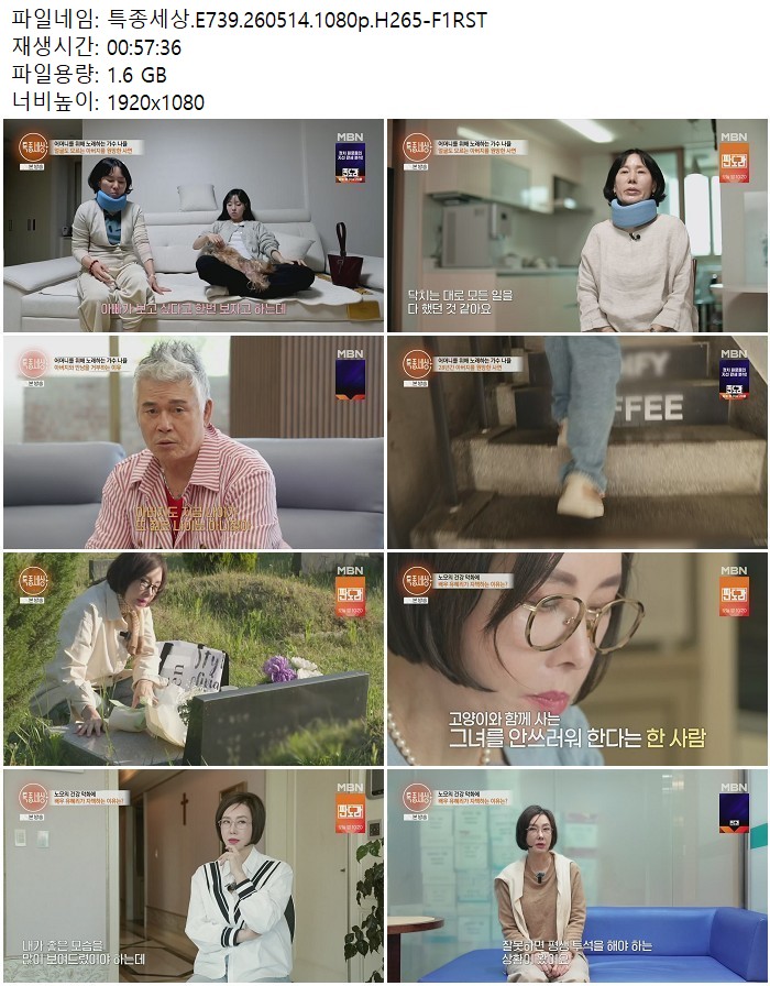 특종세상.E739.260514.1080p.H265