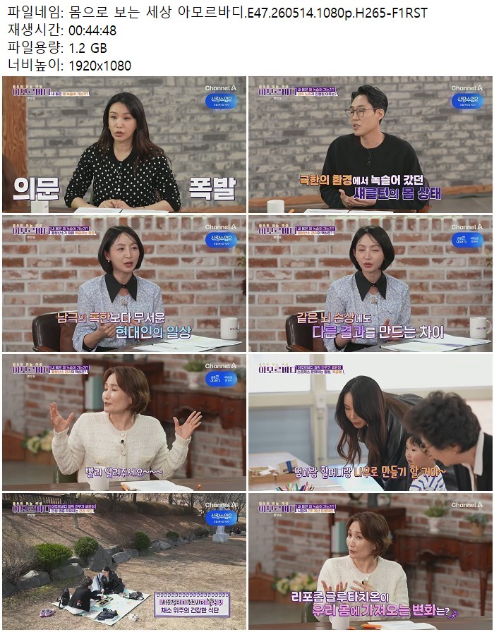 몸으로 보는 세상 아모르바디.E47.260514.1080p.H265