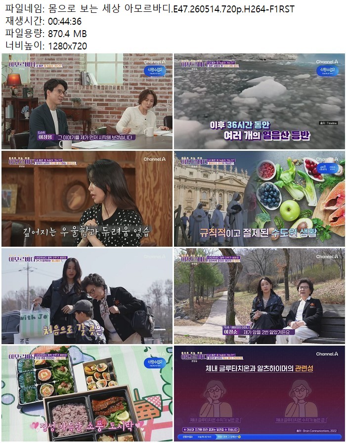 몸으로 보는 세상 아모르바디.E47.260514.720p.H264