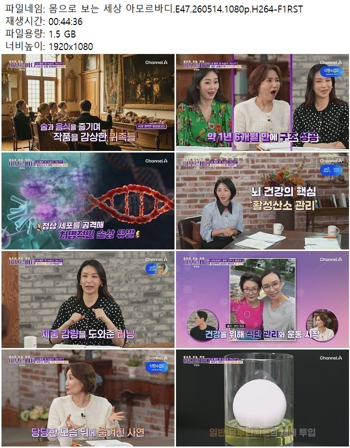 몸으로 보는 세상 아모르바디.E47.260514.1080p.H264