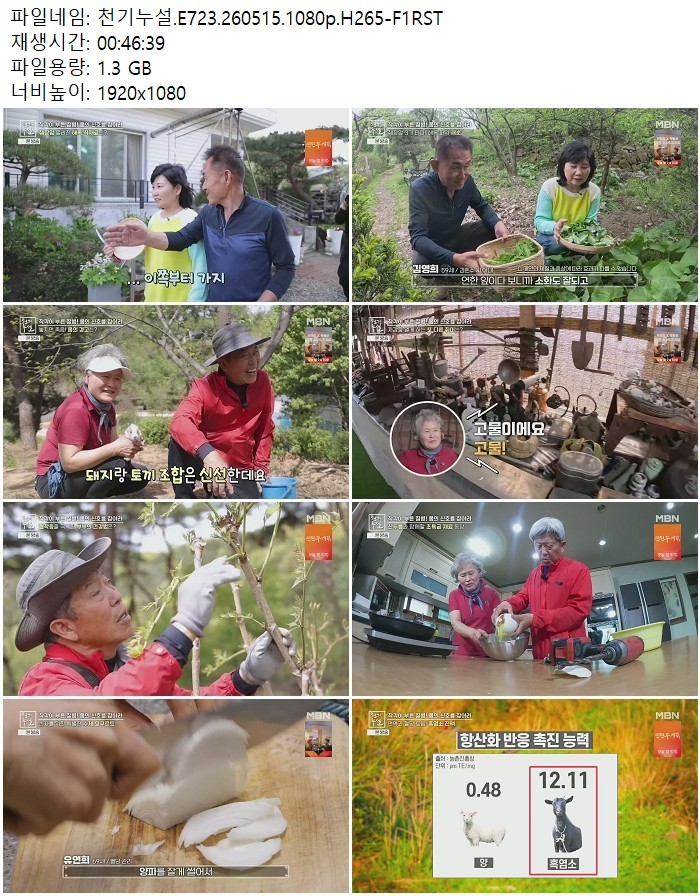천기누설.E723.260515.1080p.H265