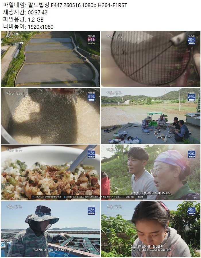 팔도밥상.E447.260516.1080p.H264