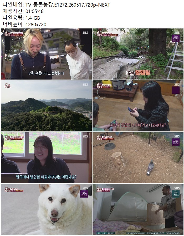 TV 동물농장.E1272.260517.720p-NEXT