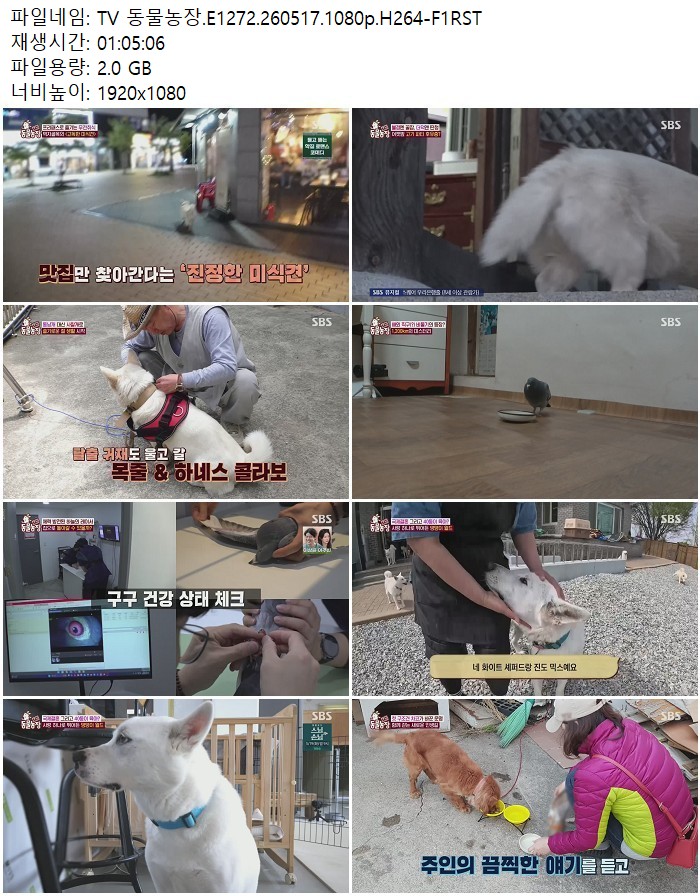 TV 동물농장.E1272.260517.1080p.H264