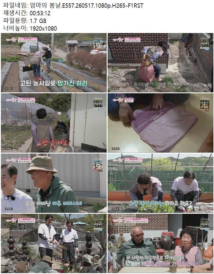 엄마의 봄날.E557.260517.1080p.H265