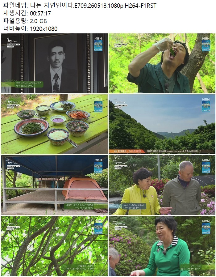 나는 자연인이다.E709.260518.1080p.H264