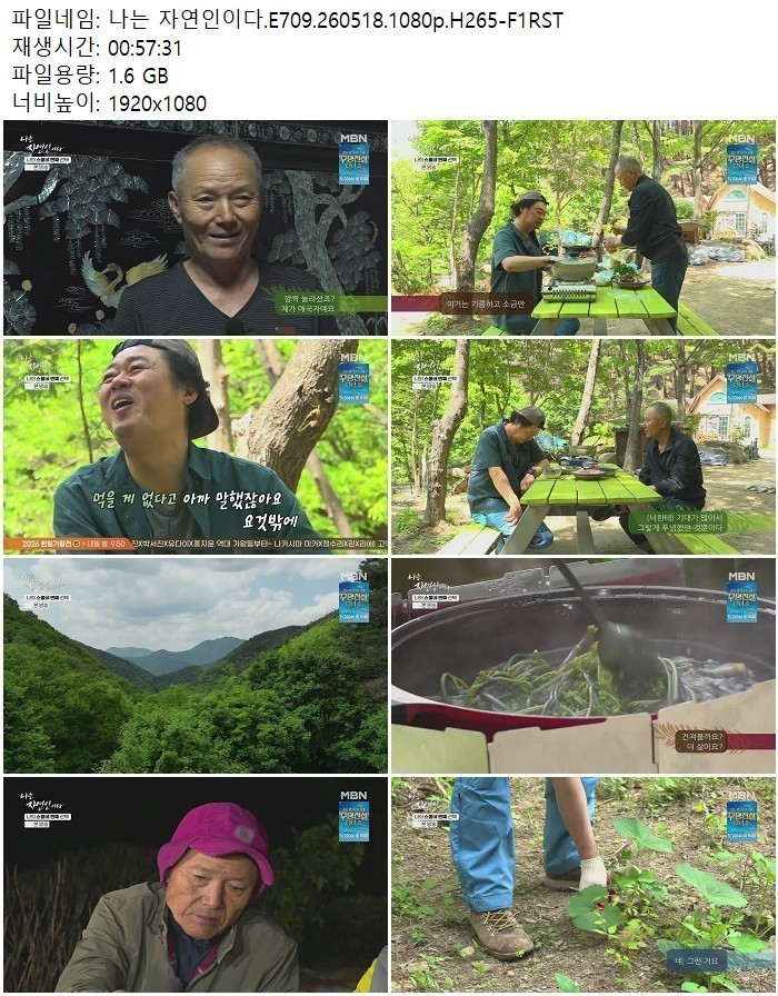 나는 자연인이다.E709.260518.1080p.H265
