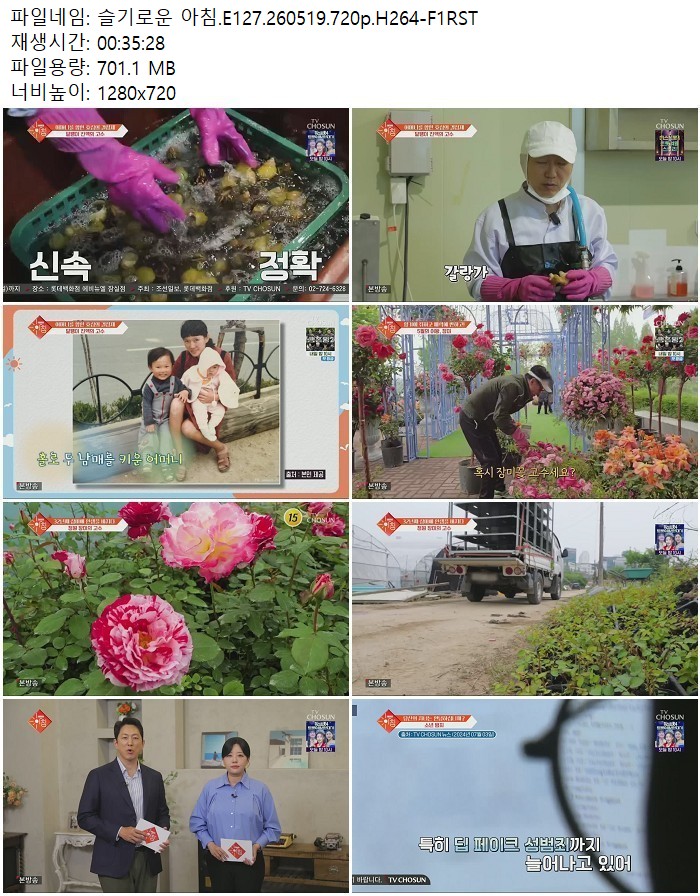 슬기로운 아침.E127.260519.720p.H264