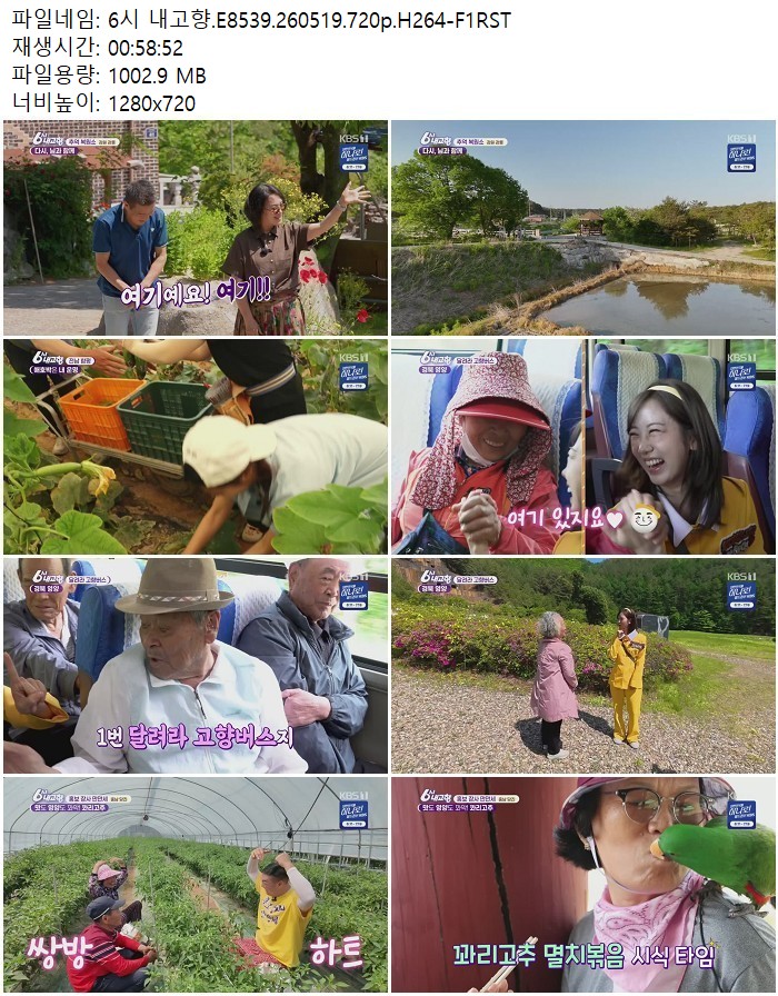 6시 내고향.E8539.260519.720p.H264
