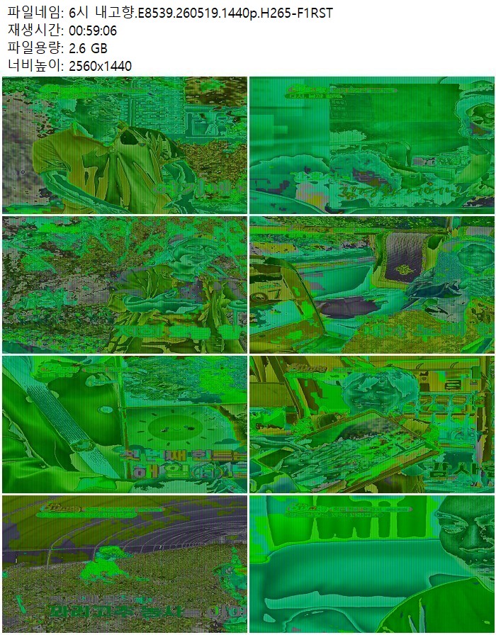 6시 내고향.E8539.260519.1440p.H265