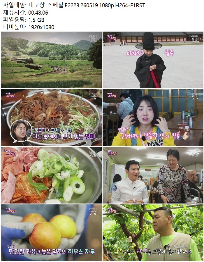 내고향 스페셜.E2223.260519.1080p.H264
