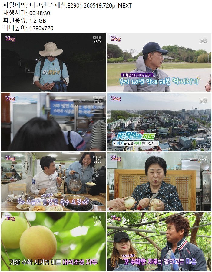내고향 스페셜.E2901.260519.720p-NEXT