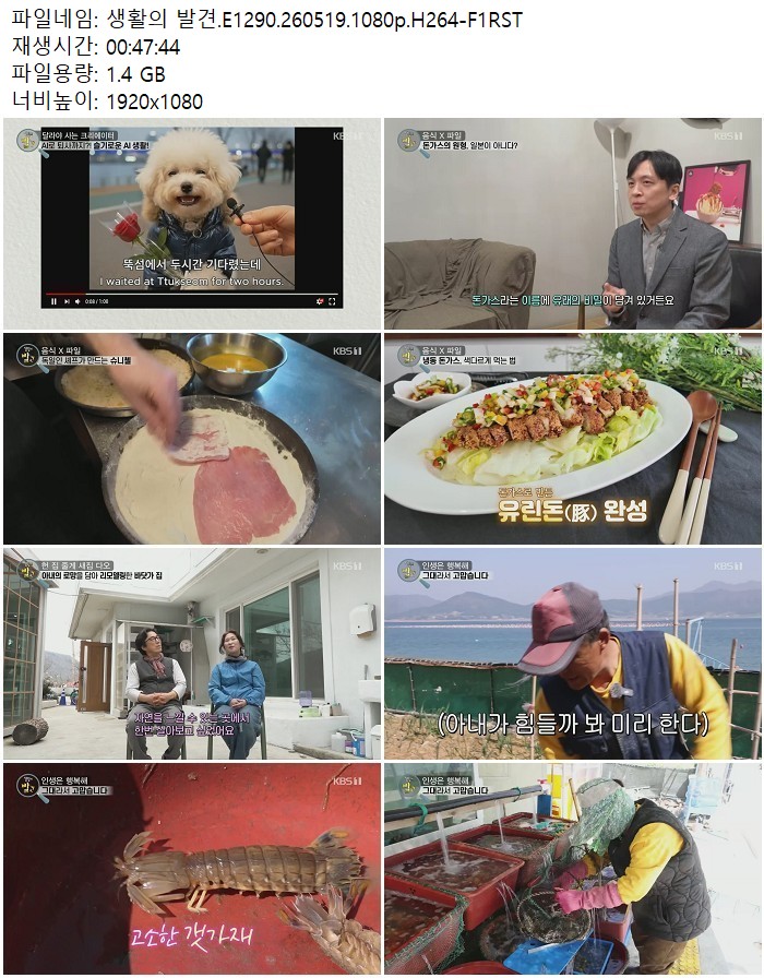 생활의 발견.E1290.260519.1080p.H264