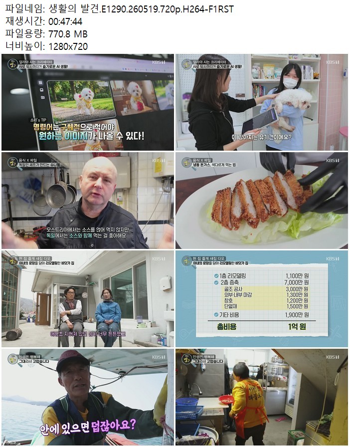 생활의 발견.E1290.260519.720p.H264