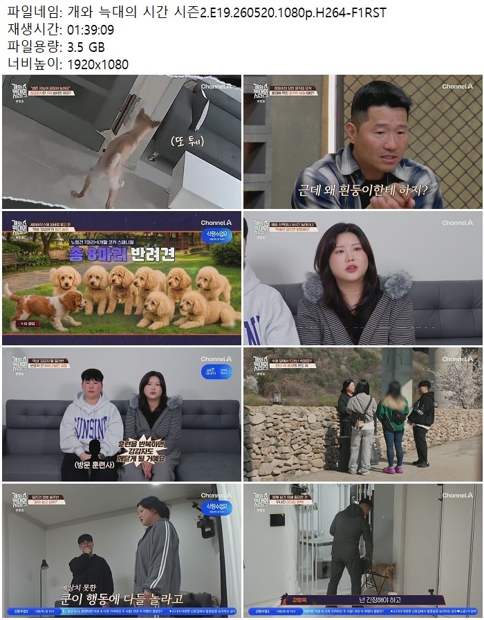 개와 늑대의 시간 시즌2.E19.260520.1080p.H264 05.20