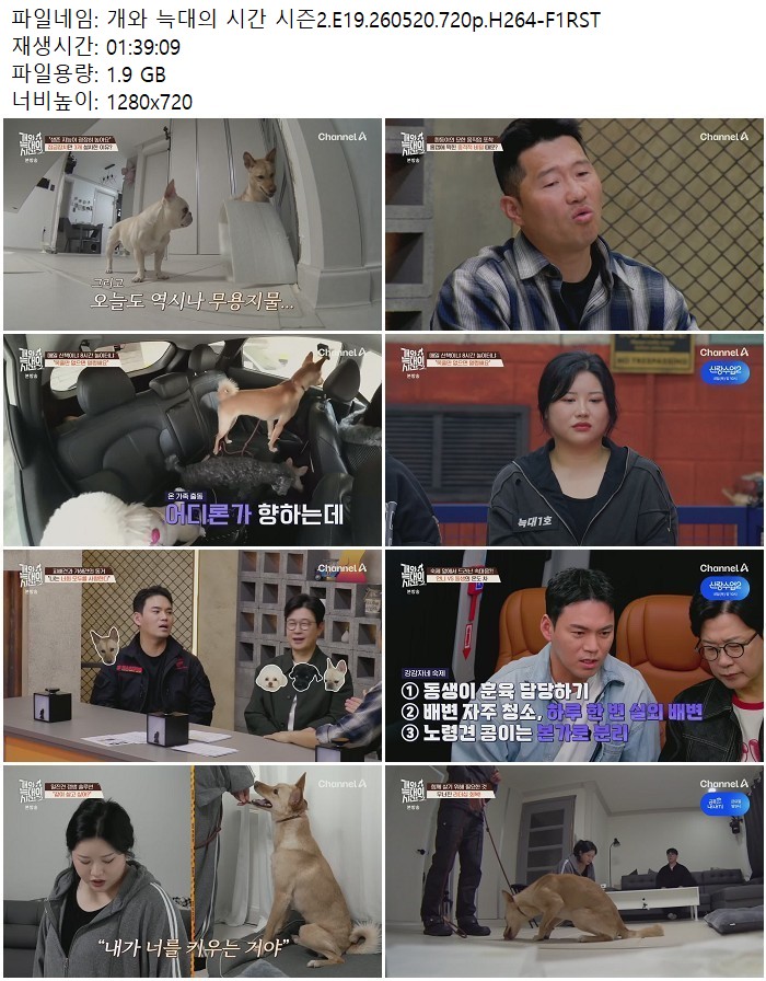 개와 늑대의 시간 시즌2.E19.260520.720p.H264 05.20