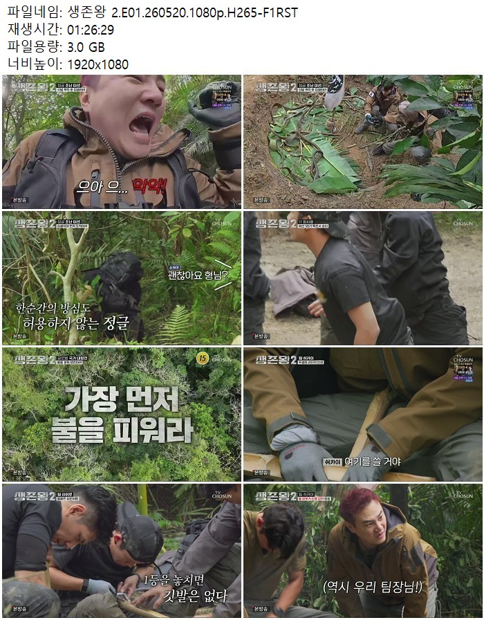 생존왕 2.E01.260520.1080p.H265 05.20