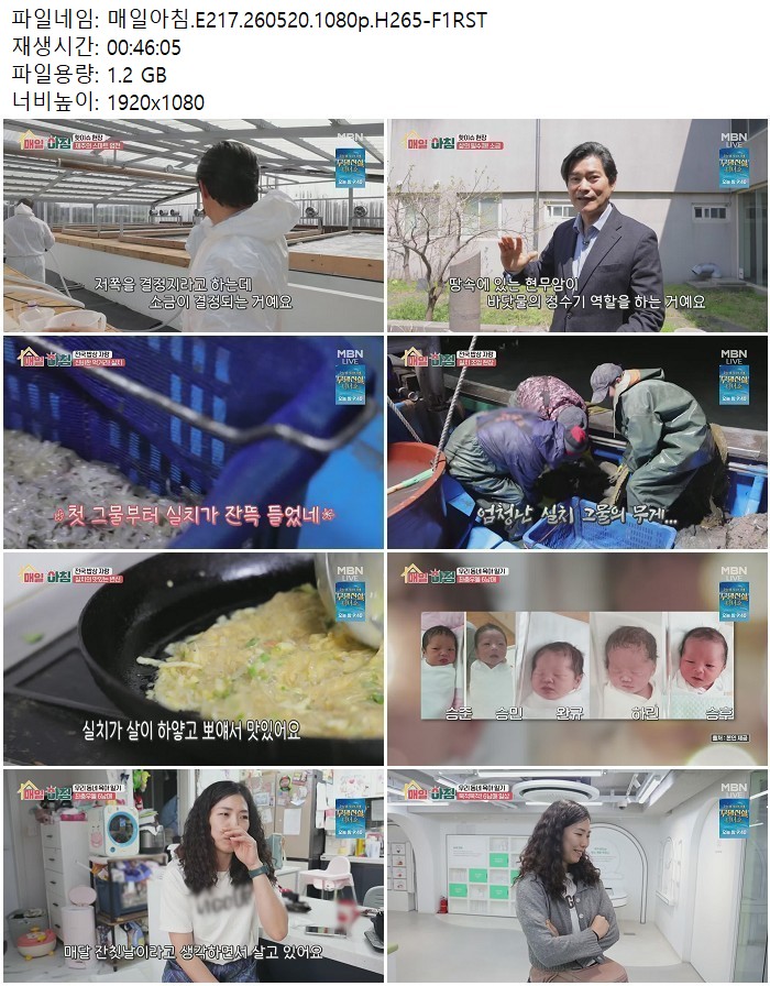 매일아침.E217.260520.1080p.H265 05.20