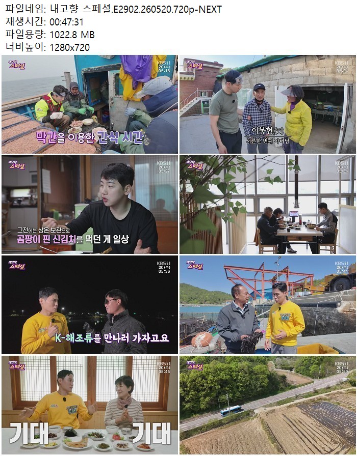 내고향 스페셜.E2902.260520.720p-NEXT