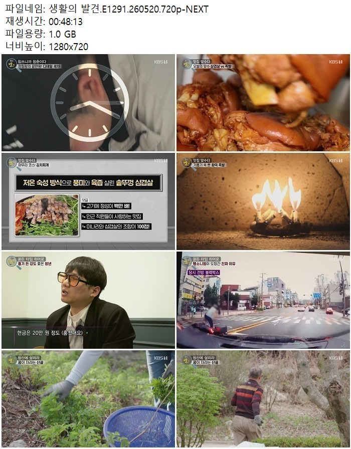 생활의 발견.E1291.260520.720p-NEXT