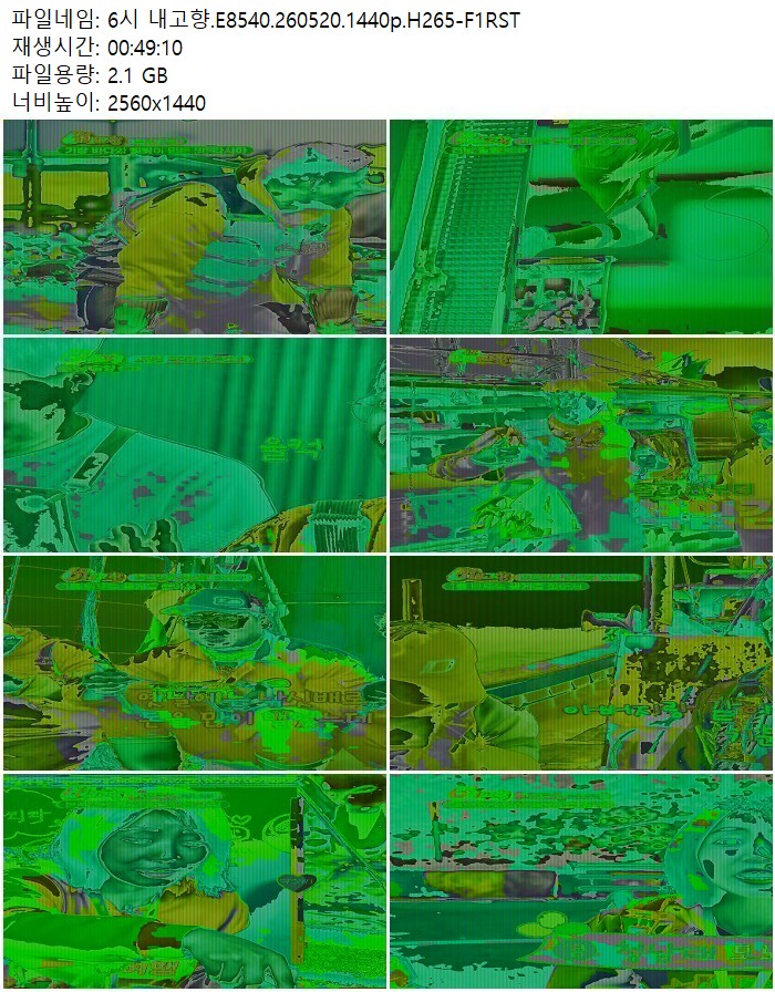 6시 내고향.E8540.260520.1440p.H265