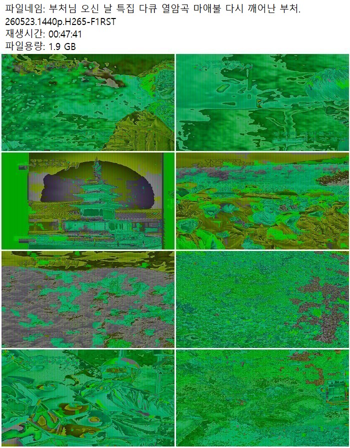 부처님 오신 날 특집 다큐 열암곡 마애불 다시 깨어난 부처.260523..