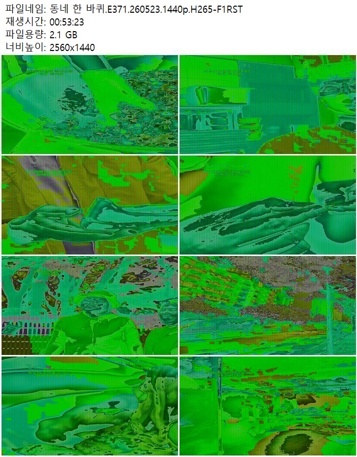 동네 한 바퀴.E371.260523.1440p.H265