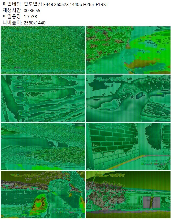 팔도밥상.E448.260523.1440p.H265