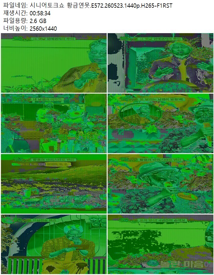 시니어토크쇼 황금연못.E572.260523.1440p.H265