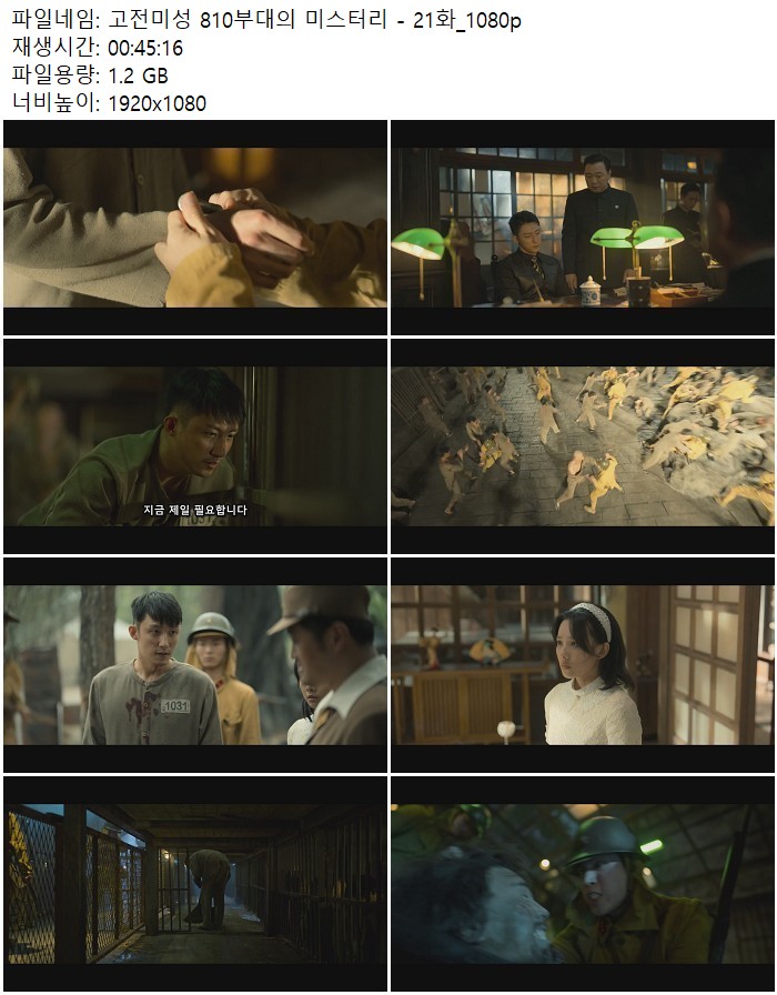 고전미성 810부대의 미스터리 - 21화_1080p