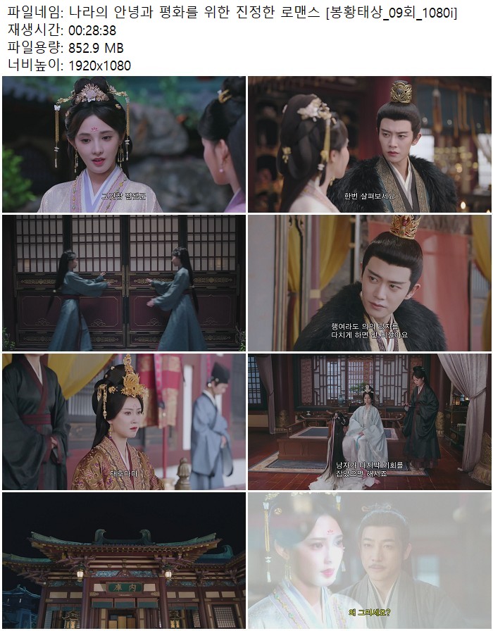 나라의 안녕과 평화를 위한 진정한 로맨스 [봉황태상_09회_1080i]