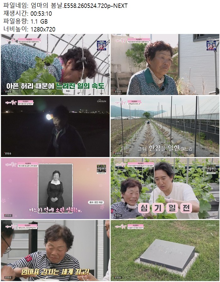 엄마의 봄날.E558.260524.720p-NEXT