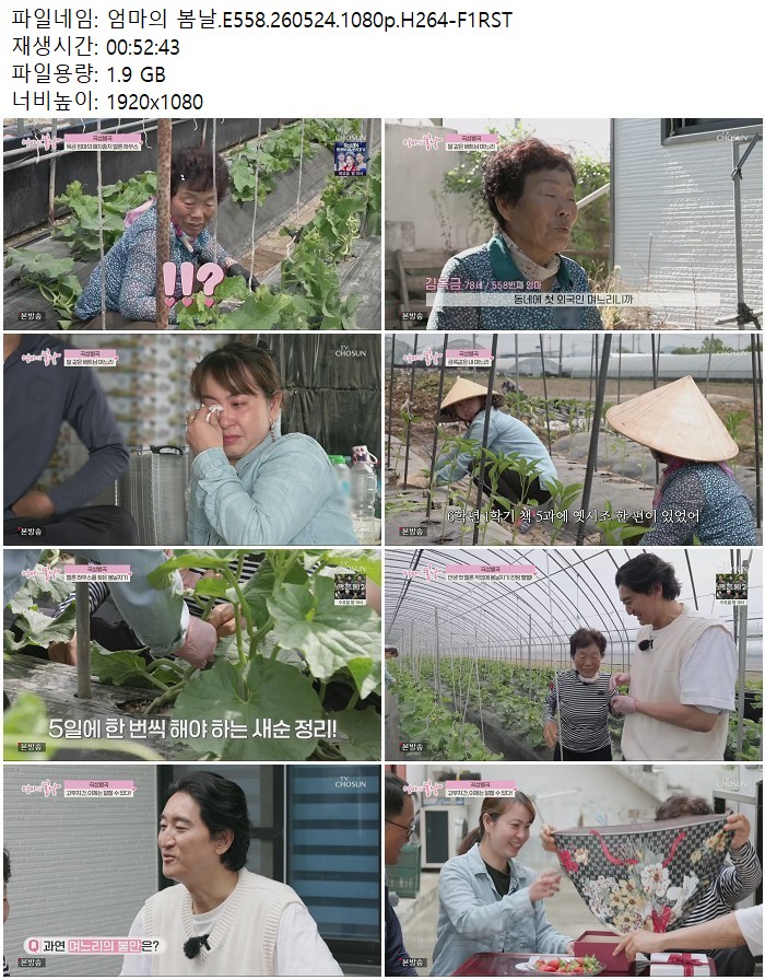 엄마의 봄날.E558.260524.1080p.H264