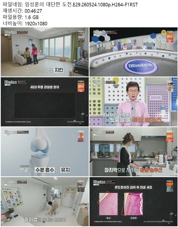 임성훈의 대단한 도전.E29.260524.1080p.H264