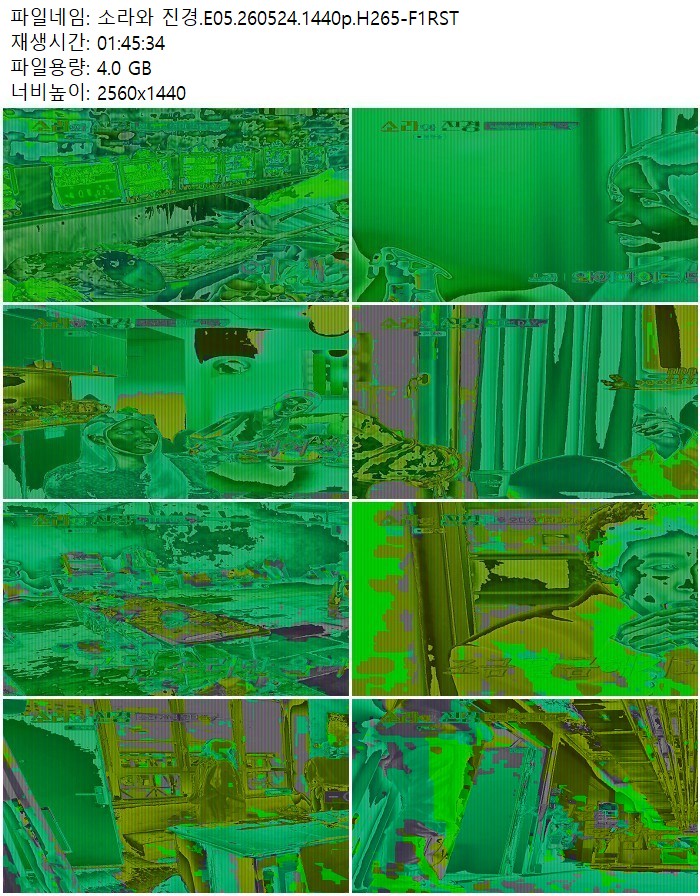 소ㅇ라와 진경.E05.260524.1440p.H265
