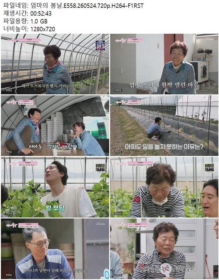 엄마의 봄날.E558.260524.720p.H264