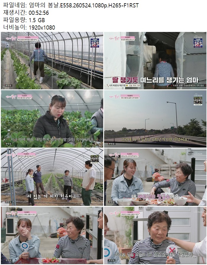 엄마의 봄날.E558.260524.1080p.H265