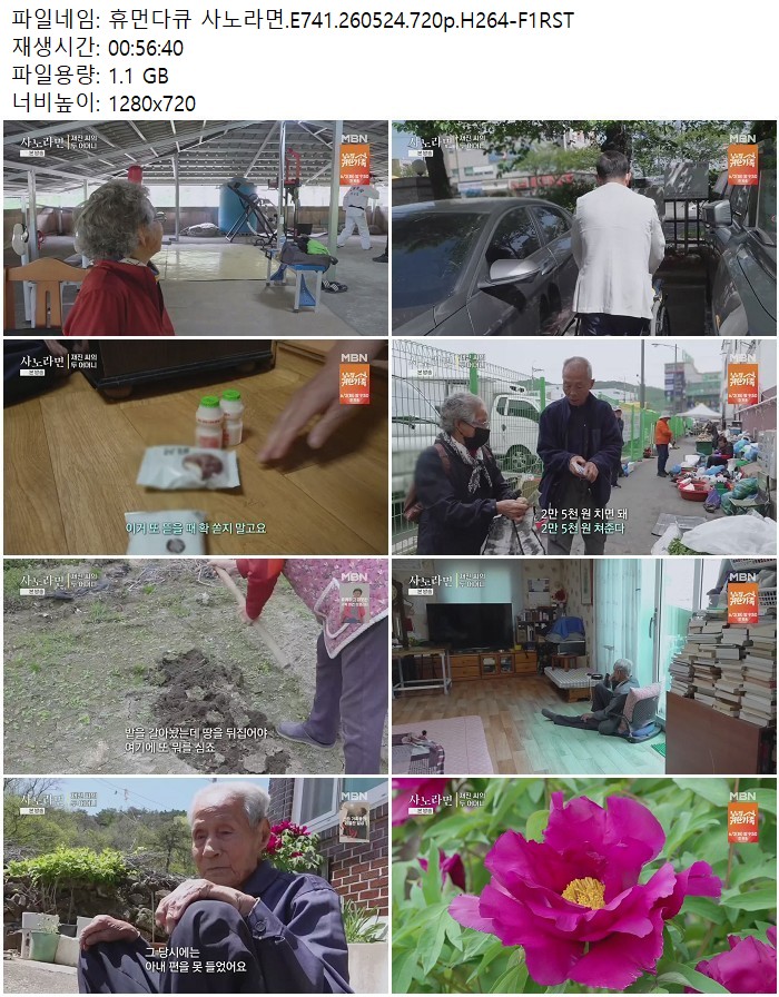 휴먼다큐 사노라면.E741.260524.720p.H264