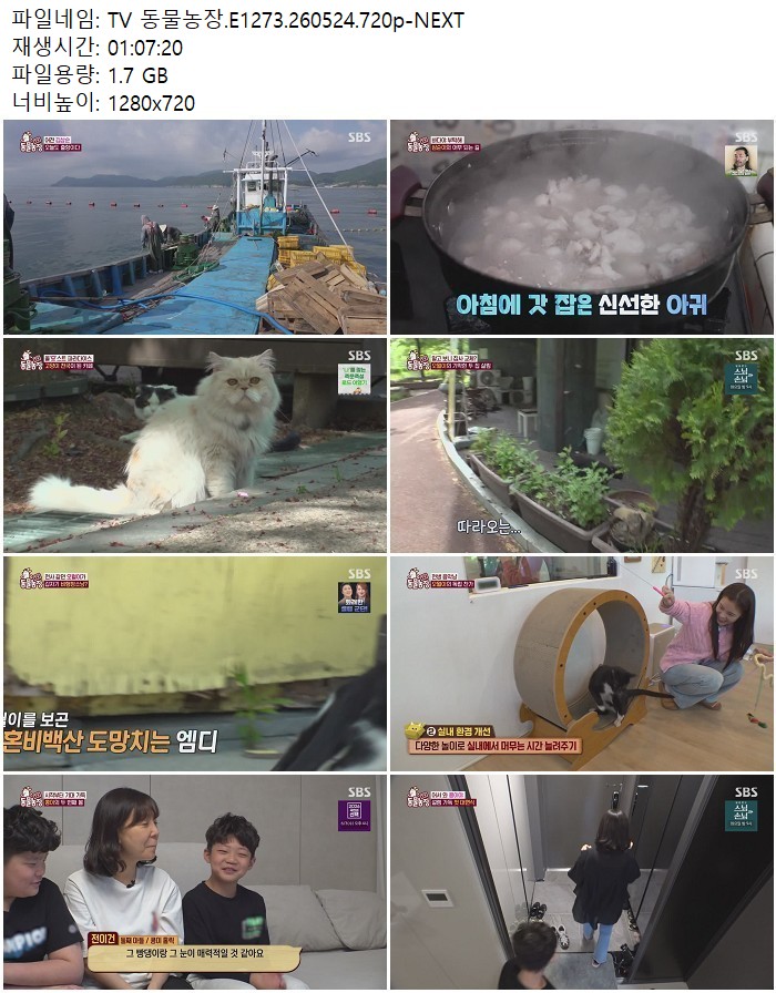 TV 동물농장.E1273.260524.720p-NEXT
