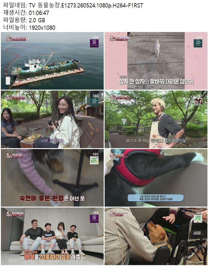 TV 동물농장.E1273.260524.1080p.H264