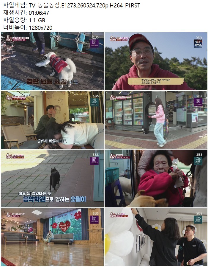TV 동물농장.E1273.260524.720p.H264