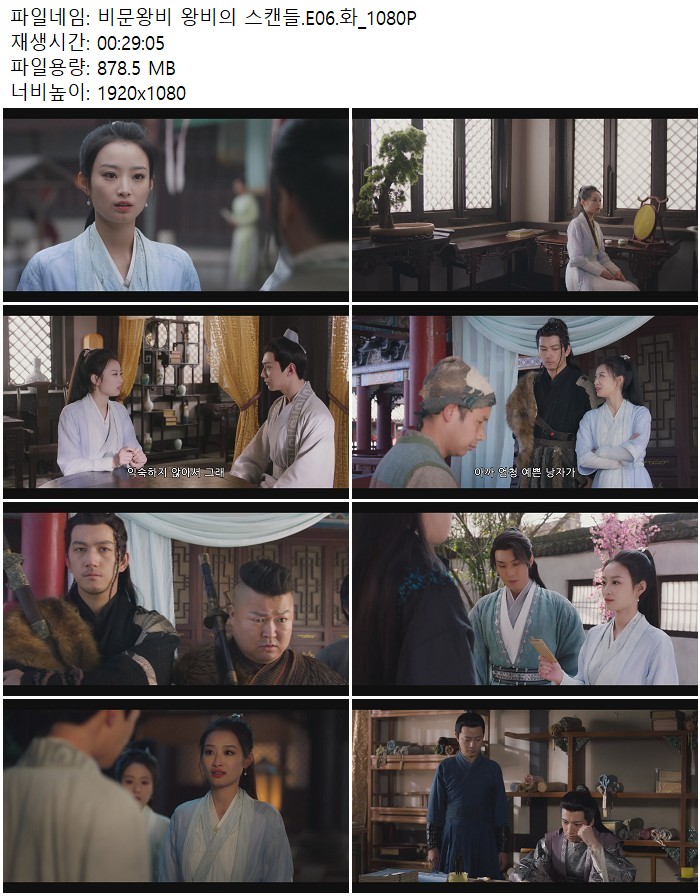 비문왕비 왕비의 스캔들.E06.화_1080P