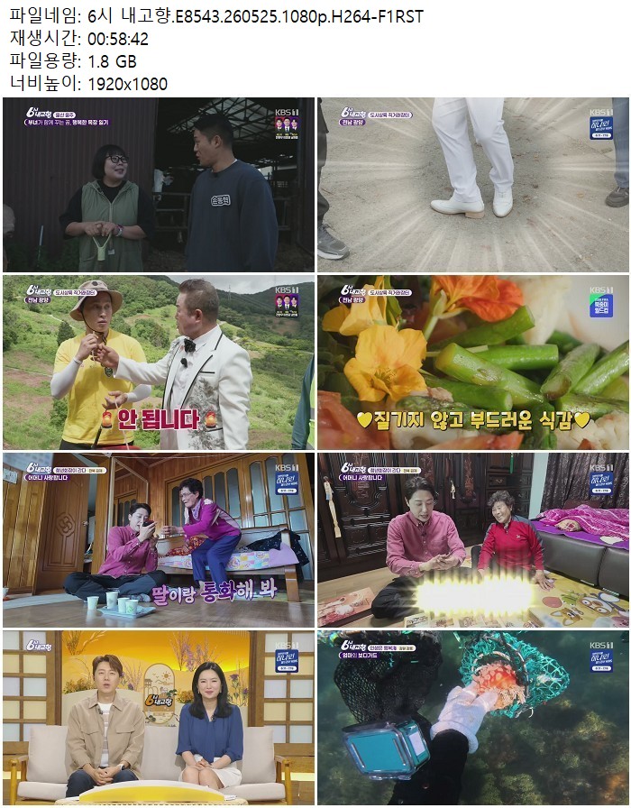 6시 내고향.E8543.260525.1080p.H264
