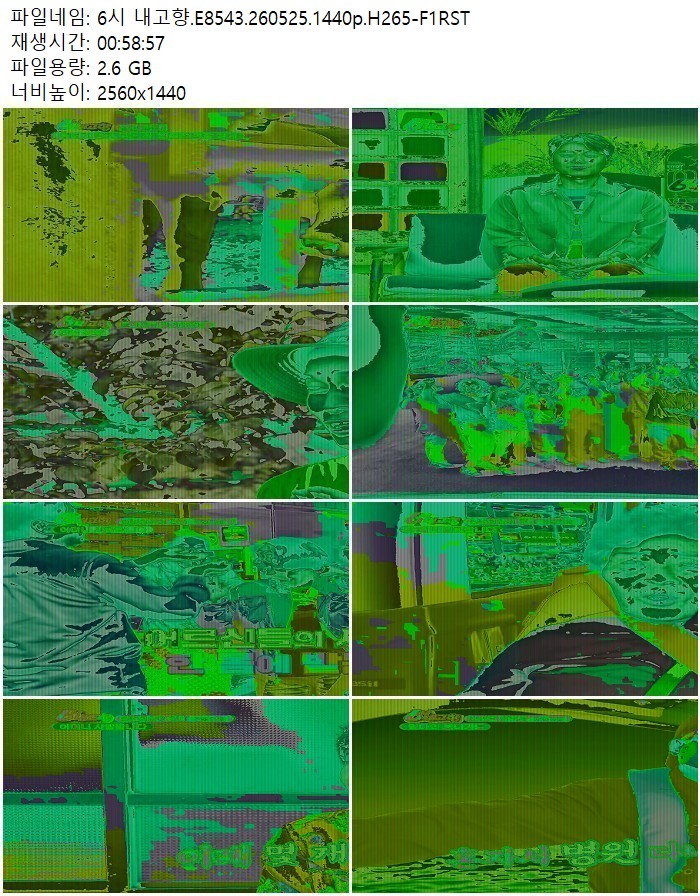 6시 내고향.E8543.260525.1440p.H265