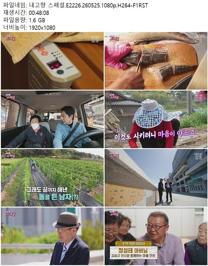 내고향 스페셜.E2226.260525.1080p.H264